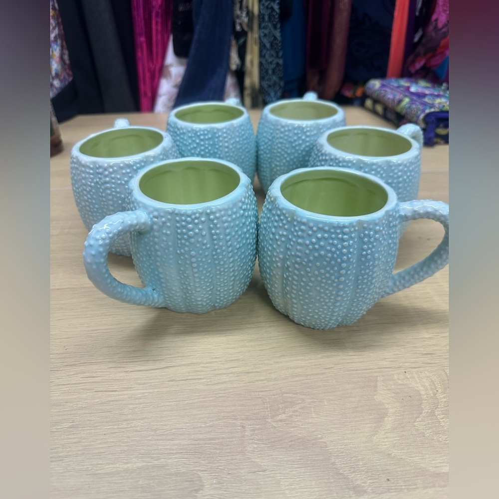 Kate Williams Sea Urchin Coffee Mug Cup by Global Design Mint Color Set of 6 EUC